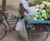 -_Bicycle_with_vegetables.JPG